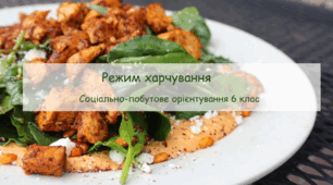 Конспект заняття "Режим харчування" СПО 6 клас
