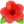 🌺