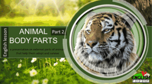 Animal Body Parts.№2.Частини тіла тварин. Definitions, pictures, examples.Picture tests.