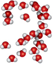 0500h11m-6ec5-250x300.png