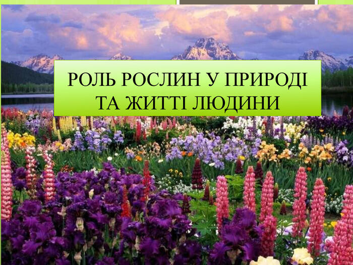 Презентація з біології для 6 класу з теми: "Роль рослин у природі та житті людини"