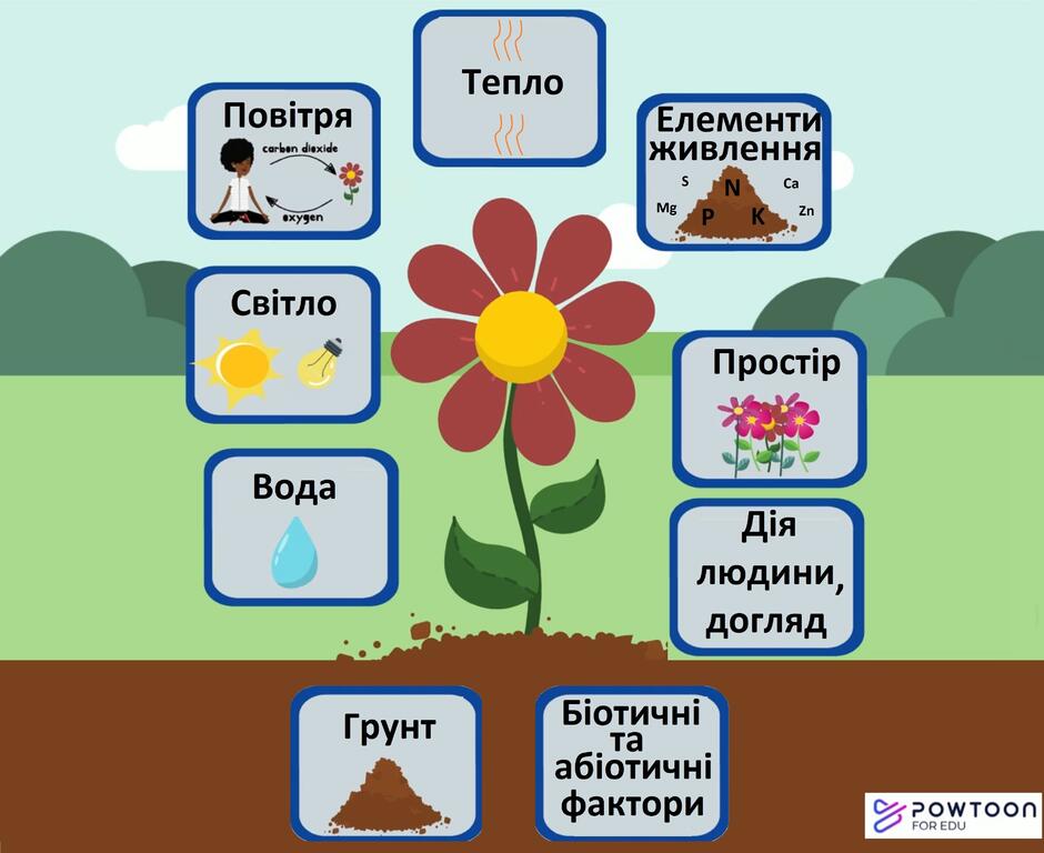 Фактори життя рослин. Які чинники впливають на рослини