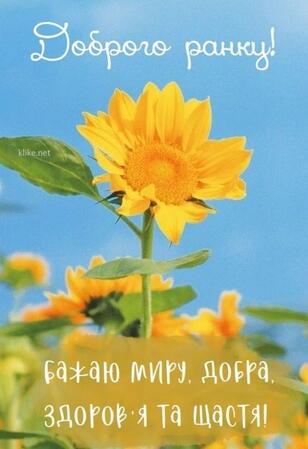 0500h5a1-d44f-308x449.jpg