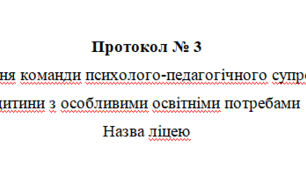 Протокол засідання команди супроводу із визначення рівня підтримки