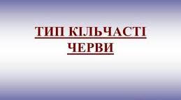 Тип Кільчасті черви 