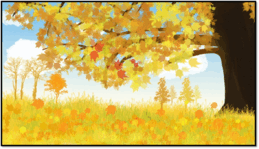 0500hd10-823b-198x114.png