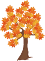 0500hd1y-c16d-109x148.png