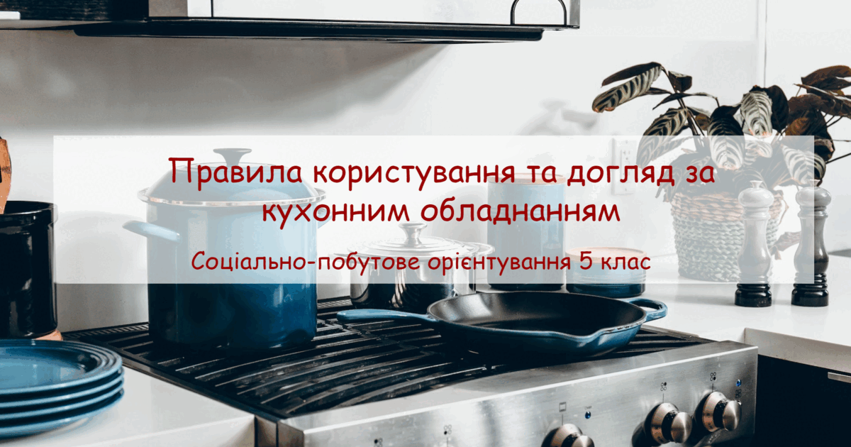 Конспект заняття "Правила користування та догляд за кухонним ...