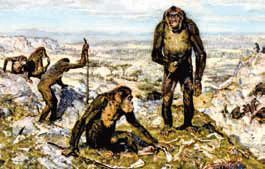 0500het3-861a-265x169.png
