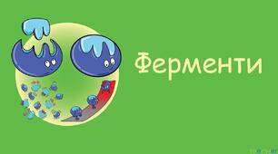 Урок 7/5. Ферменти, їхня роль у клітині.