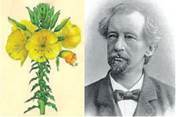 https://uahistory.co/pidruchniki/sobol-biology-and-ecology-10-class-2018-standard-level/sobol-biology-and-ecology-10-class-2018-standard-level.files/image272.jpg