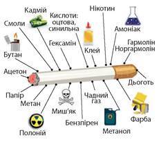 https://uahistory.co/pidruchniki/sobol-biology-and-ecology-10-class-2018-standard-level/sobol-biology-and-ecology-10-class-2018-standard-level.files/image274.jpg