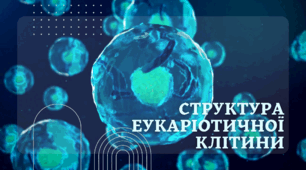 Презентація на тему "Структура еукаріотичної клітини"