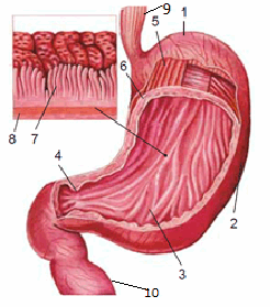 0500hjvr-905c-246x279.png
