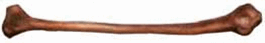 0500hlez-c707-265x43.png