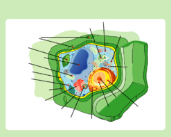 0500hnnd-8828-940x748.png