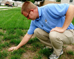 Home lawn during drought: To water ... or not?