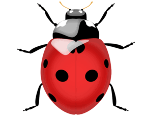 0500hq0k-be59-285x236.png