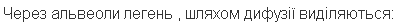 0500hq2h-3ba7-402x26.png
