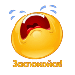 0500hqbt-1577-155x155.png