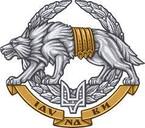 Сили спеціальних операцій Збройних сил України — Вікіпедія