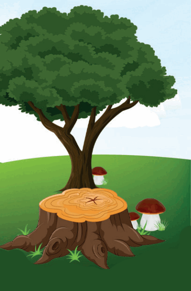 0500hu5l-2d40-391x597.png