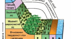 7 клас. Діагностувальна робота №1: «Вступ»,  «Закономірності формування природи материків та океанів».