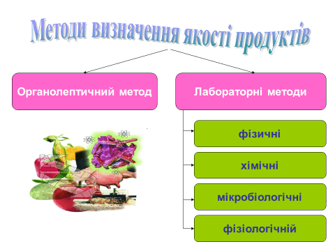 0500hvj5-5402-480x360.png
