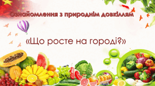 Ознайомлення з  природнім довкіллям. Старша група. "Що росте на городі?"