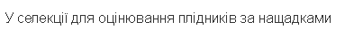 0500i074-055e-393x42.png