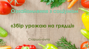 Ознайомлення з соціумом. Старша група. "Збір урожаю на городі"
