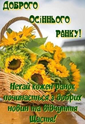 0500i32w-e631-297x432.jpg