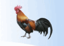 0500i358-b13c-126x90.png