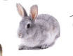0500i35u-e55d-104x81.png