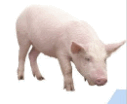 0500i363-4b9b-127x104.png