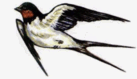 0500i37c-0866-137x79.png