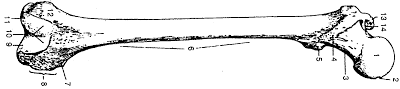 0500i3vw-3964-400x89.png