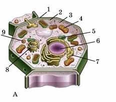 0500i4bm-e549-231x204.jpg