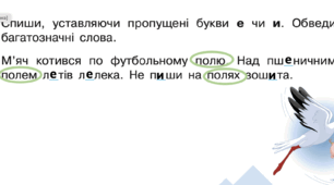 Урок №27 Омоніми і багатозначні слова  ( до підручника та зошита Большаковї )