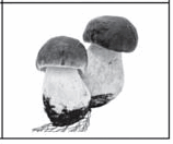 0500i901-0627-158x132.png