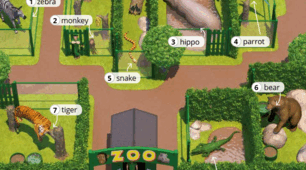 The zoo: lesson 1