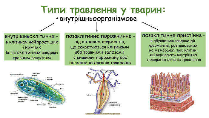 0500idtg-2d47-700x394.jpg