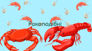 7 кл. Тест "Ракоподібні"