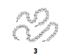 0500ied9-2622-226x187.png