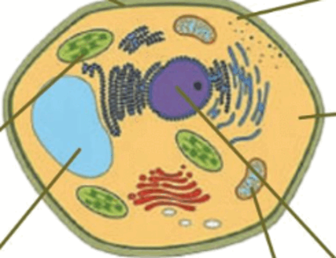 0500iere-9cc1-672x516.png