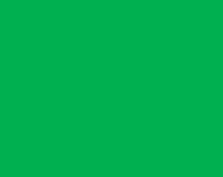 0500iglg-6ae3-456x363.png