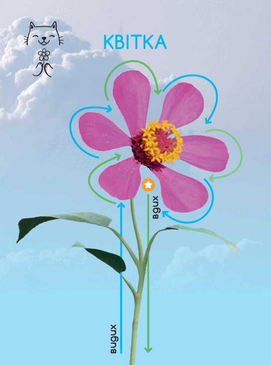 0500igm9-d08f-545x735.png