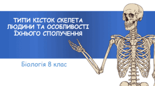 Будова і хімічний склад  кісток.