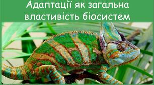  Адаптації (І частина) (11 клас)