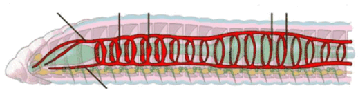 0500ijli-5147-518x141.png